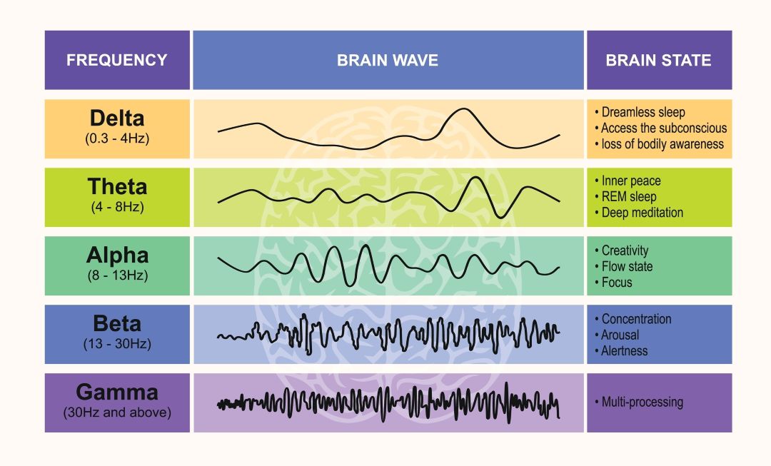 5 brain waves